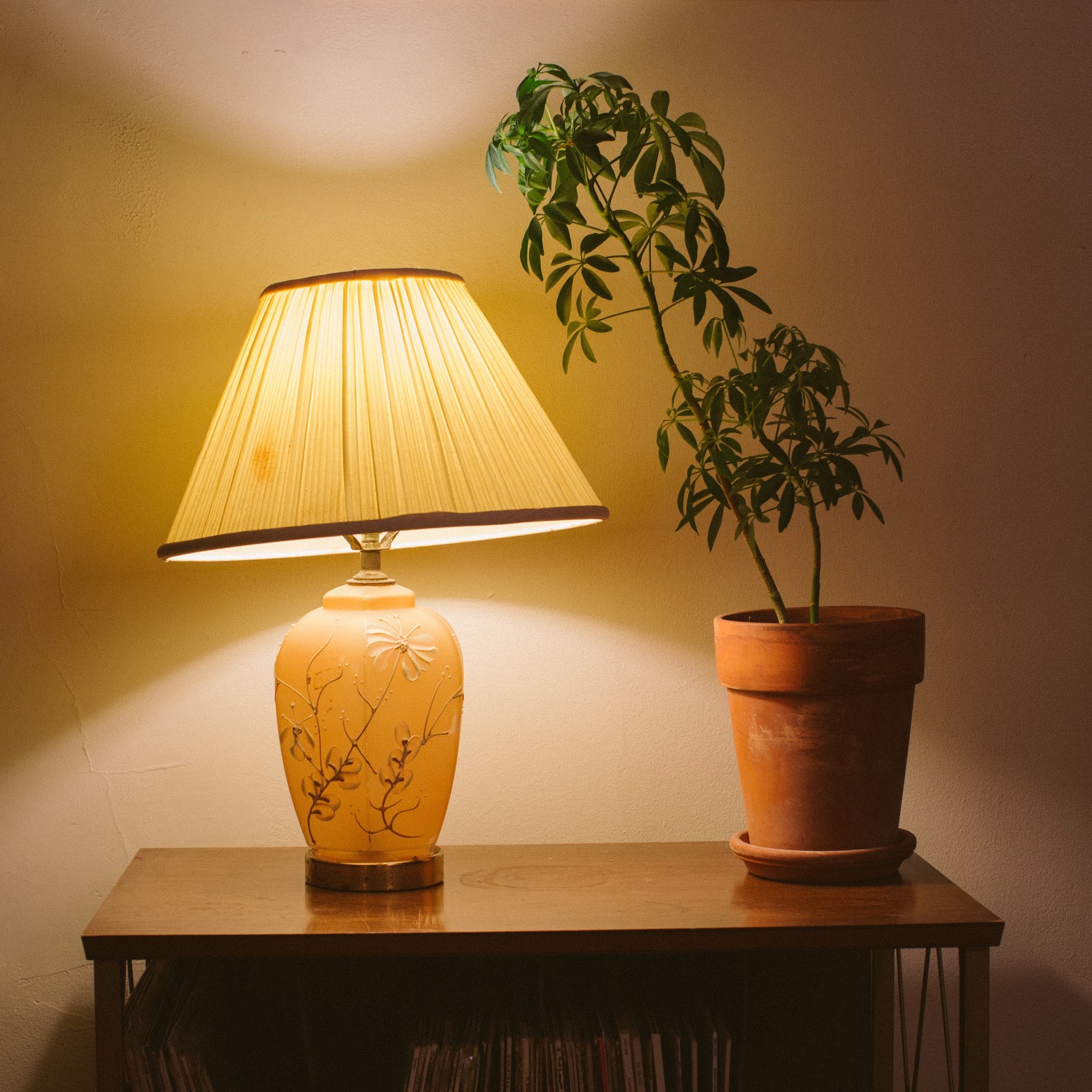 A glass table lamp with flowers on the base casts a warm, cozy glow of light across a wall.