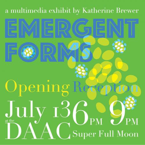 Katherine Brewer Emergent Forms Opening Reception