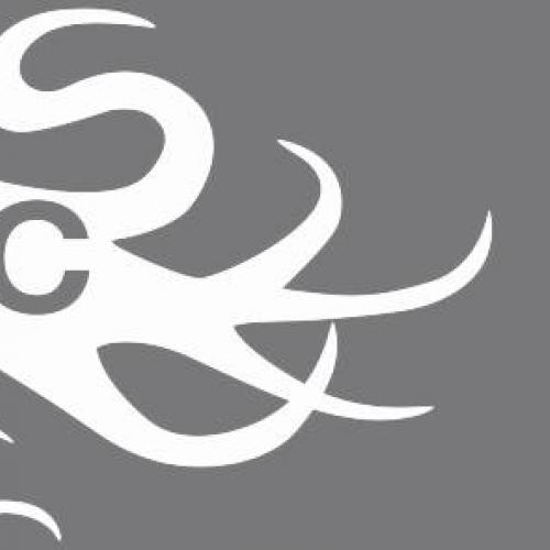 White DAAC octopus logo on a gray banner